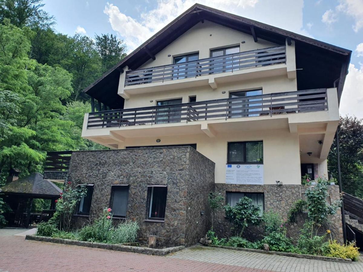 Pensiunea Iasmina Si Pescarul Calimanesti Exterior photo